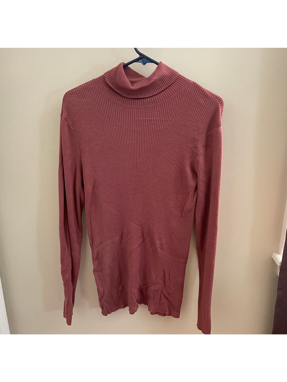 Express Mauve Turtle Neck Sweater Size Large